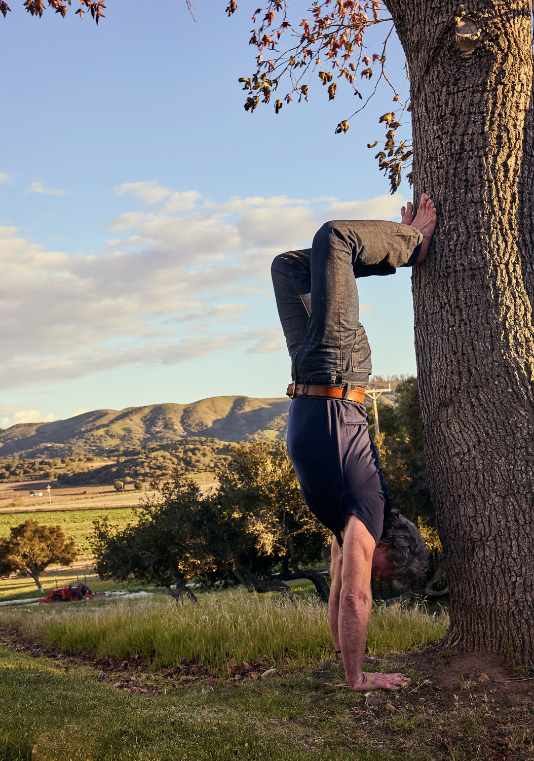 Handstand with Tree Assist
