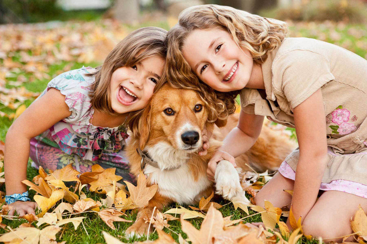 Girls with dog in autumn leaves